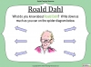 Boy Roald Dahl - Free Resource Teaching Resources (slide 8/14)